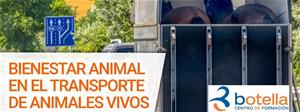 BIENESTAR ANIMAL EN EL TRANSPORTE DE ANIMALES VIVOS