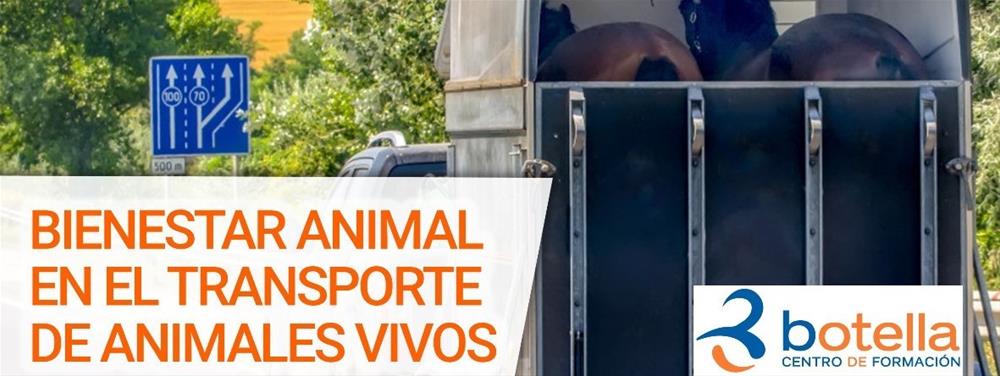 Cabecera curso BIENESTAR ANIMAL EN EL TRANSPORTE DE ANIMALES VIVOS