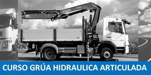 GRUAS HIDRAULICAS CARGADORAS (Grúa pluma, camiónautocargante